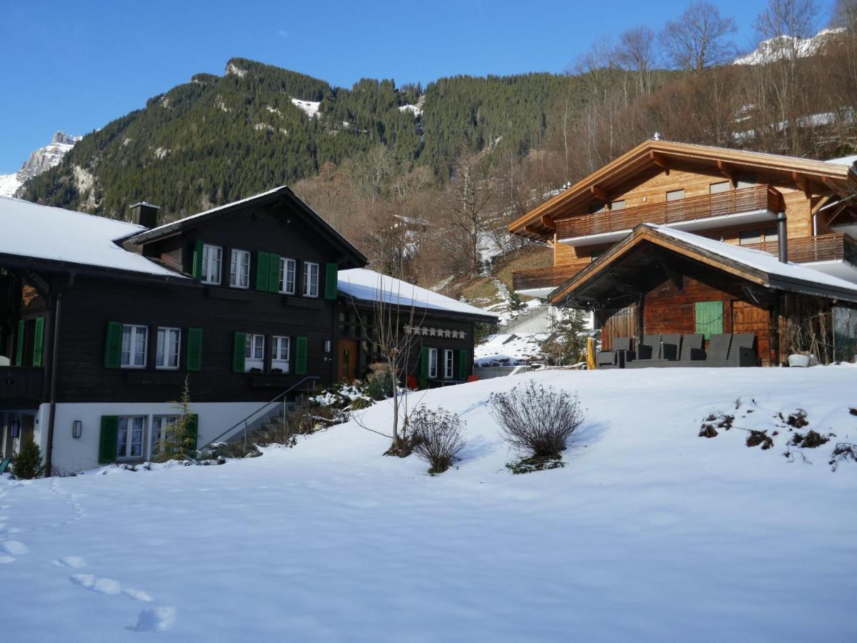 Apartment Chalet Schwendihus-10 By Interhome Гриндельвальд Экстерьер фото