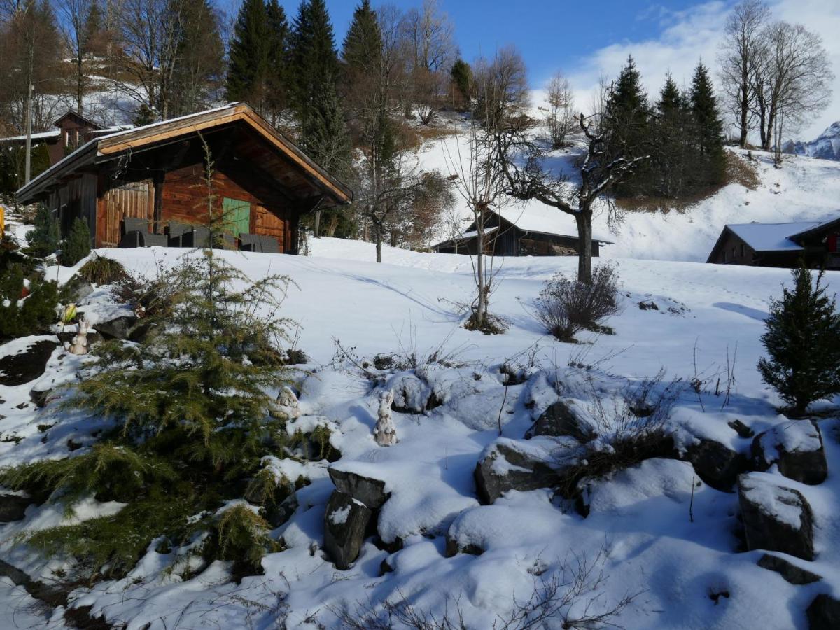 Apartment Chalet Schwendihus-10 By Interhome Гриндельвальд Экстерьер фото